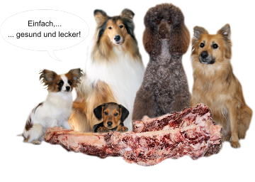 Hundegruppe